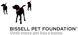 Bessell Pet Foundations